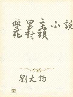 双男主小说推文死对头