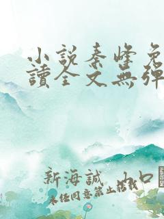 小说秦峰免费阅读全文无弹窗