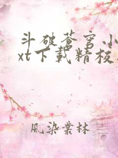 斗破苍穹小说txt下载精校版