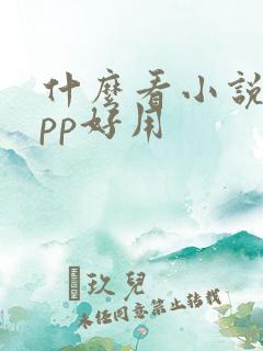 什么看小说的app好用