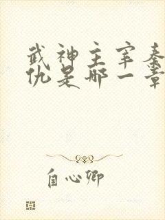 武神主宰秦尘报仇是哪一章