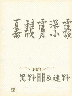 夏稚霍深霍栖野乔欣月小说名字