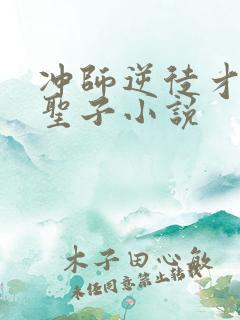 冲师逆徒才不是圣子小说