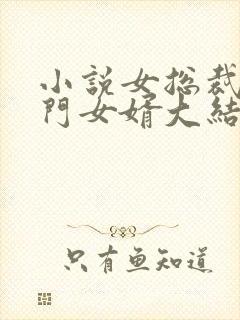 小说女总裁的上门女婿大结局