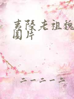 夷陵老祖魏无羡图片