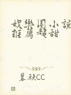 娱乐圈小说完结推荐超甜