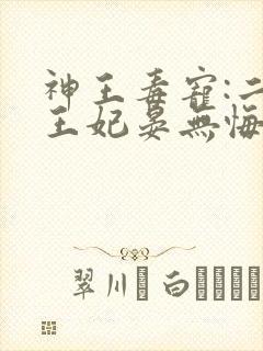 神王毒宠:二嫁王妃晏无悔凤九霄