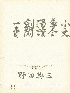 一剑独尊小说免费阅读全文无窗口