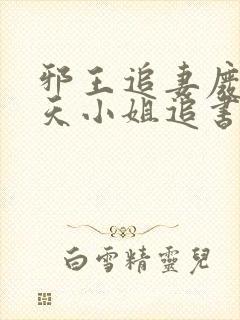 邪王追妻废材逆天小姐追书