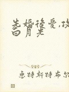 先婚后爱,攻有白月光