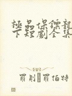 极品保镖龙临天下短剧全集免费观看