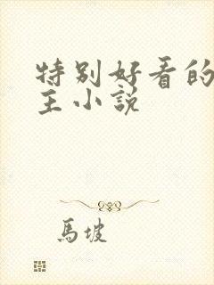 特别好看的双男主小说