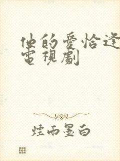 他的爱恰逢其时电视剧