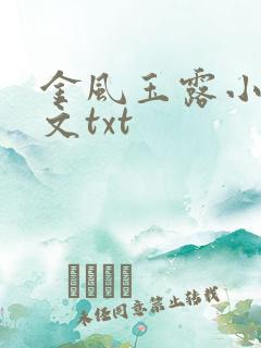 金风玉露小说全文txt