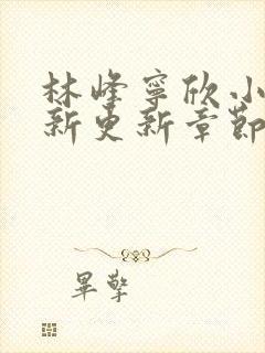 林峰宁欣小说最新更新章节