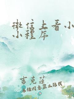 微信上看小说的小程序