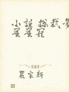 小说 总裁爹地蜜蜜宠