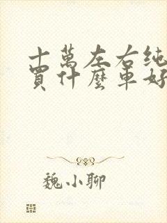 十万左右纯电动买什么车好