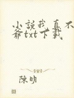 小说我真不是法爷txt下载