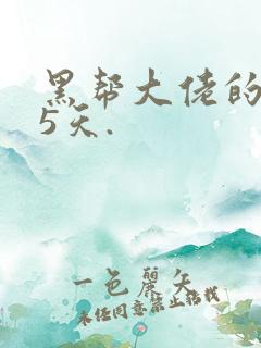 黑帮大佬的365天.