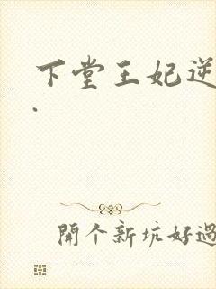 下堂王妃逆袭记.