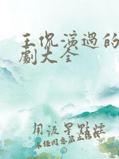 王侃演过的电视剧大全