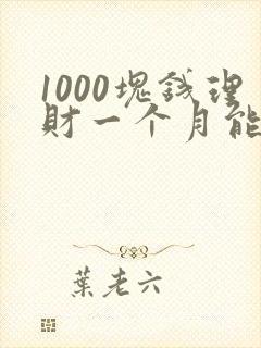 1000块钱理财一个月能赚多少钱
