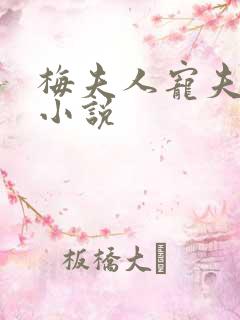 梅夫人宠夫日常小说