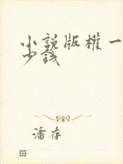 小说版权一般多少钱