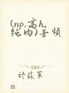 (np,高h,纯肉)音频