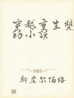 穿越重生双男主的小说