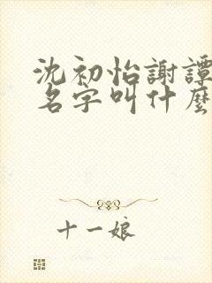 沈初怡谢谭小说名字叫什么