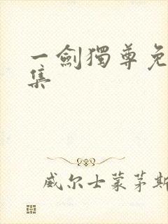 一剑独尊免费全集