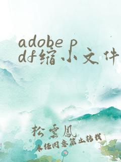 adobe pdf缩小文件大小