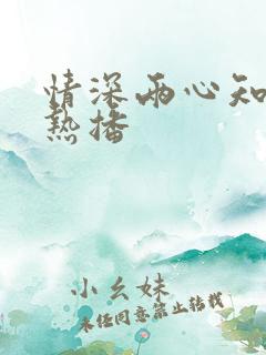 情深两心知短剧热播