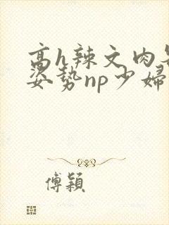 高h辣文肉各种姿势np少妇