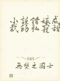 小说错嫁成婚总裁的私宠甜妻