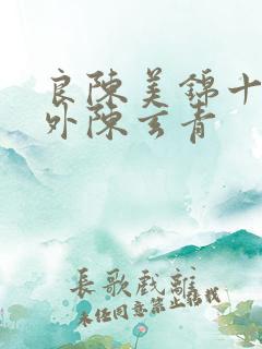 良陈美锦十个番外陈玄青