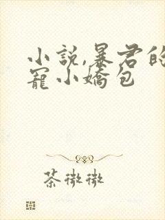 小说,暴君的甜宠小娇包