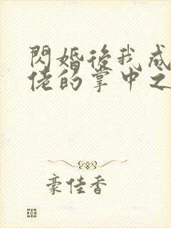 闪婚后我成了大佬的掌中之物未删减