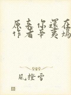 原来你还在这里作者辛夷坞