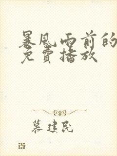 暴风雨前的平静免费播放