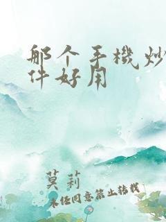 那个手机炒股软件好用