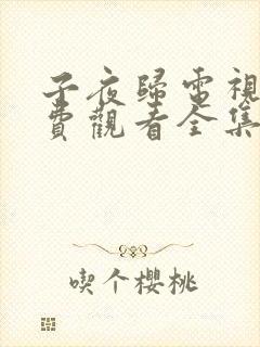 子夜归电视剧免费观看全集高清20