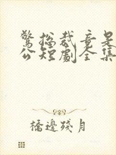 惊总裁竟是我老公短剧全集