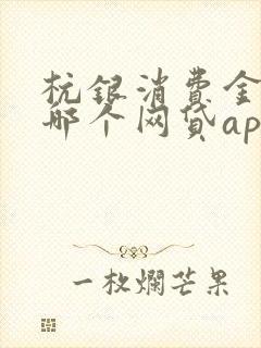 杭银消费金融是哪个网贷app放的款