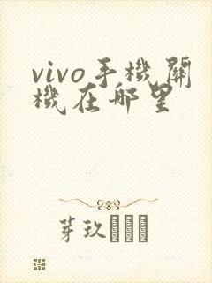 vivo手机关机在哪里