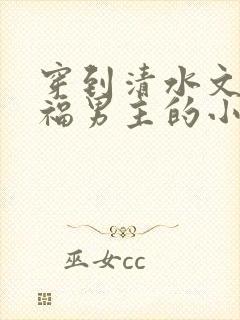 穿到清水文里造福男主的小说