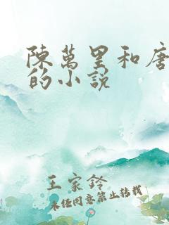 陈万里和唐嫣然的小说