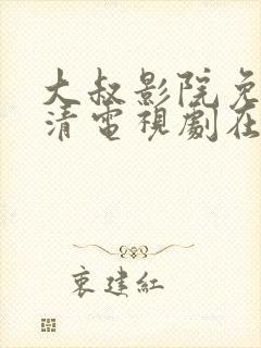 大叔影院免费高清电视剧在线观看